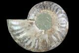 Agatized Ammonite Fossil (Half) - Crystal Chambers #88273-1